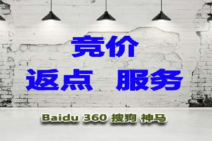 SEM推广案例：品牌知名度提升